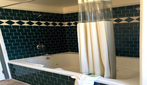 Holland Inn and Suites image 15